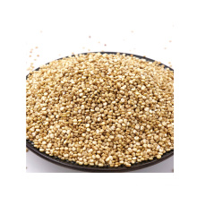 High quality chenopodium quinoa top suppliers